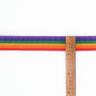 Ajuste colorido de las correas del arco iris del poliéster para el correo del animal doméstico